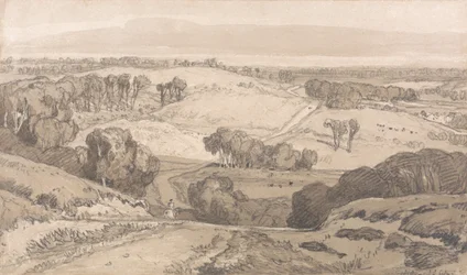 Holt Heath, près de Norwich